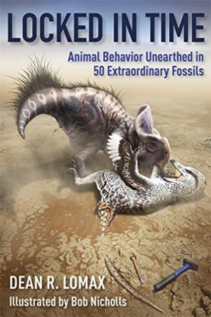 Locked in Time : Animal Behavior Unearthed in 50 Extraordinary Fossils, Hardback Book