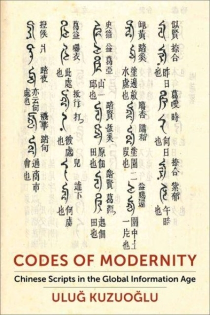 Codes of Modernity : Chinese Scripts in the Global Information Age, Hardback Book