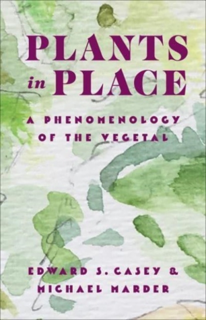 Plants in Place : A Phenomenology of the Vegetal, Hardback Book