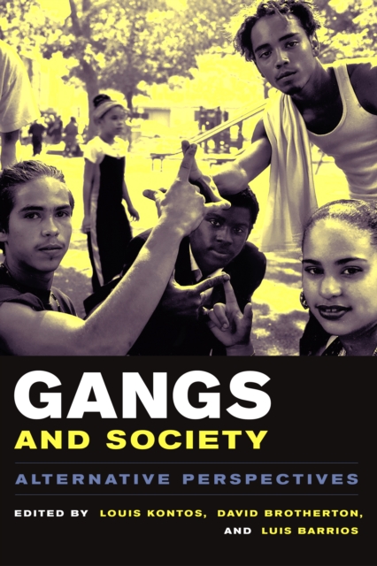 Gangs and Society : Alternative Perspectives, EPUB eBook