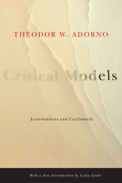 Critical Models : Interventions and Catchwords, EPUB eBook