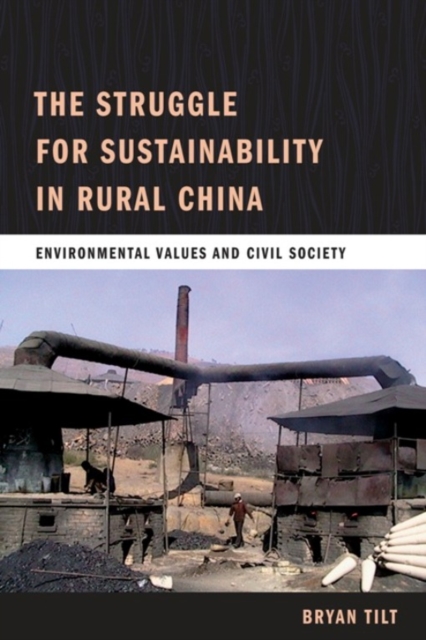 The Struggle for Sustainability in Rural China : Environmental Values and Civil Society, EPUB eBook