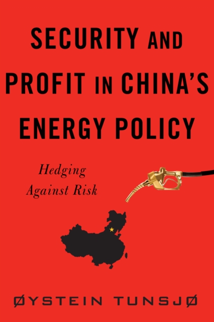 Security and Profit in China's Energy Policy : Hedging Against Risk, EPUB eBook