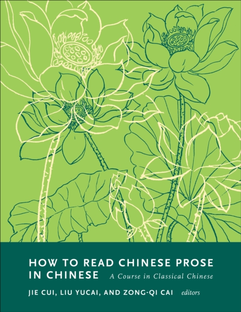 How to Read Chinese Prose in Chinese : A Course in Classical Chinese, PDF eBook