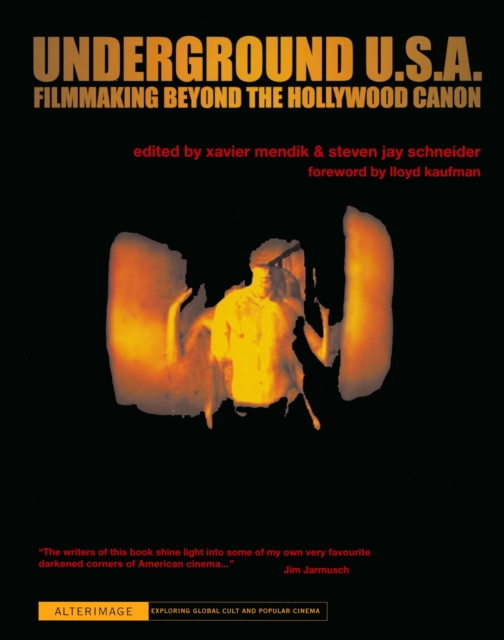 Underground U.S.A. : Filmmaking Beyond the Hollywood Canon, EPUB eBook