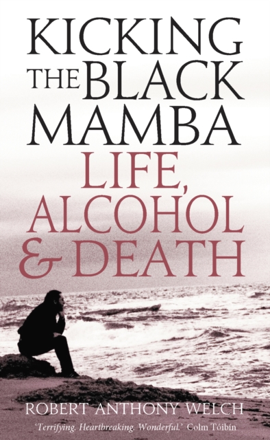 Kicking the Black Mamba : Life, Alcohol and Death, Paperback / softback Book