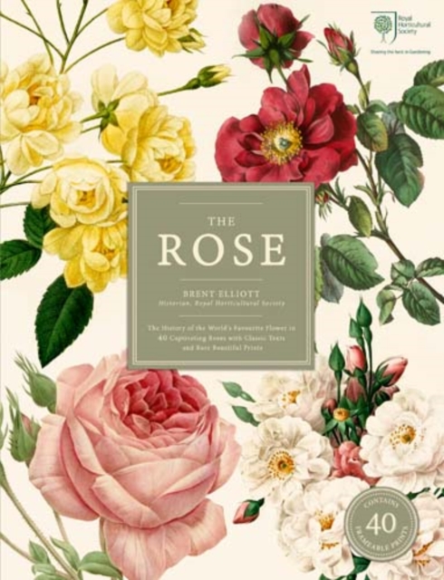 The Rose, Mixed media product Book