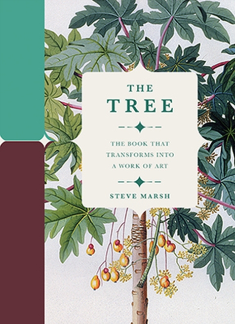 The Tree : The Book that Transforms into a Work of Art, Hardback Book