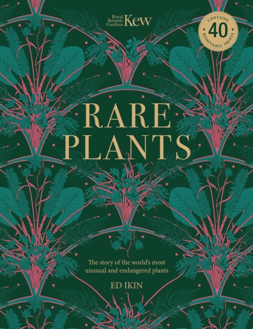 Kew - Rare Plants : Forty of the world's rarest and most endangered plants, Paperback / softback Book