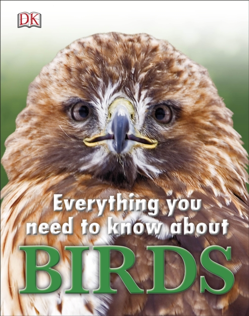 Everything You Need to Know About Birds, Hardback Book