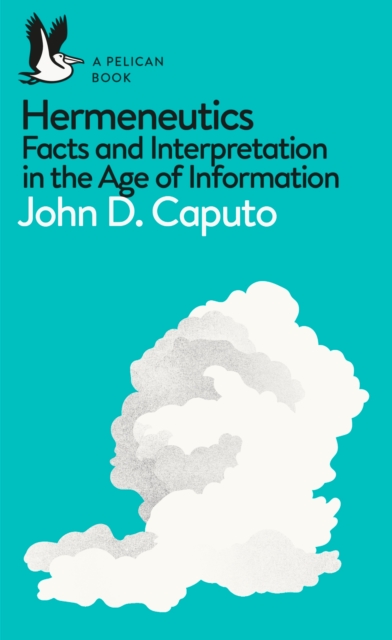 Hermeneutics : Facts and Interpretation in the Age of Information, Paperback / softback Book