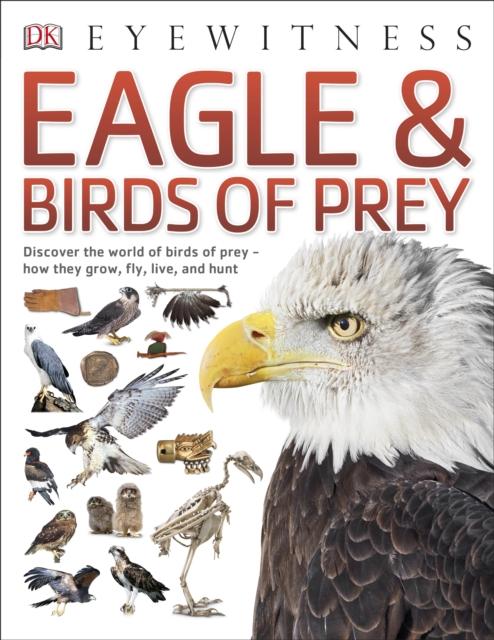 Eagle & Birds of Prey, Paperback / softback Book