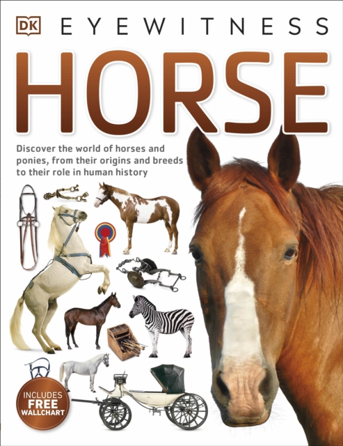 Horse, Paperback / softback Book