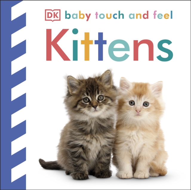Baby Touch and Feel Kittens, Board book Book