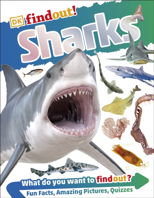 DKfindout! Sharks, Paperback / softback Book
