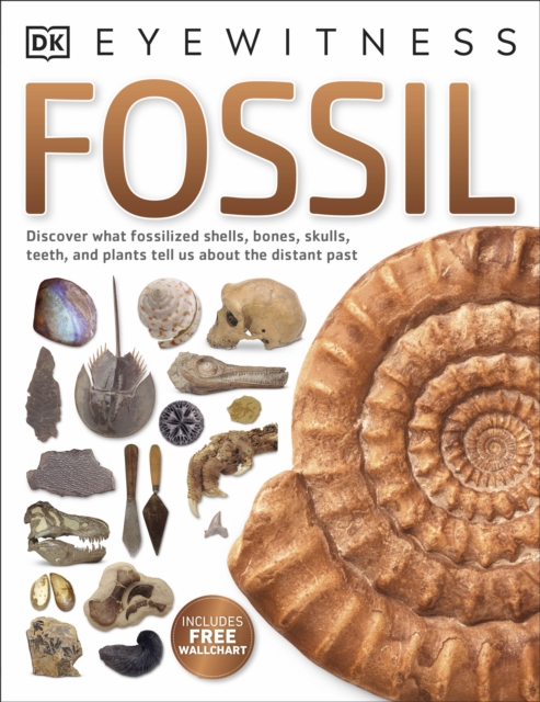 Fossil, Paperback / softback Book