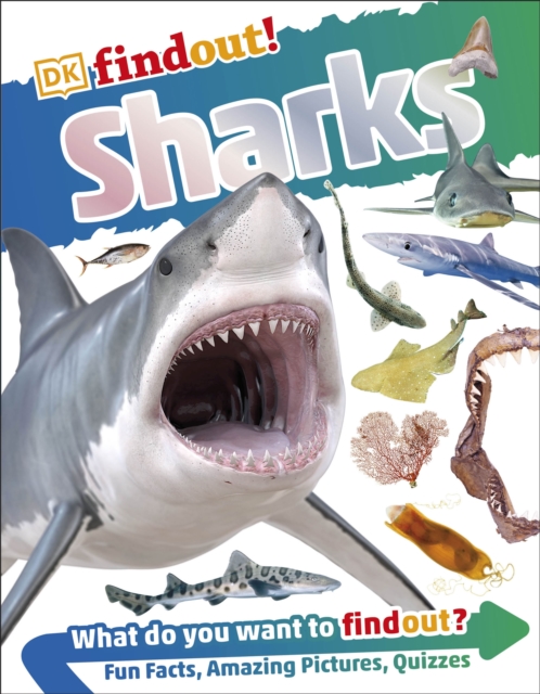 DKfindout! Sharks, EPUB eBook