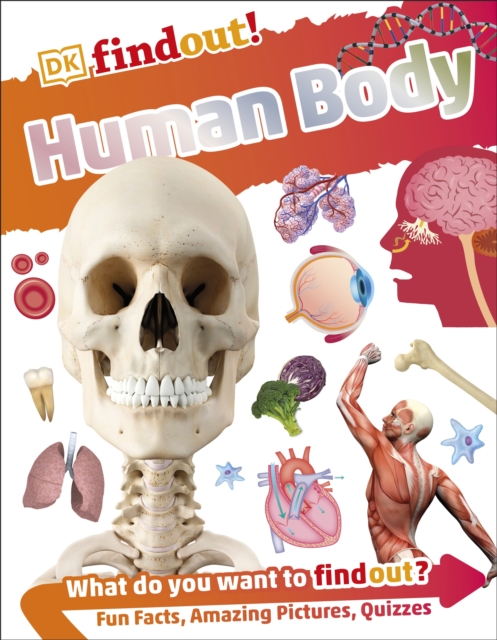 DKfindout! Human Body, EPUB eBook