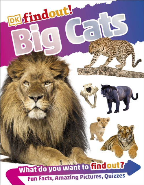 DKfindout! Big Cats, Paperback / softback Book