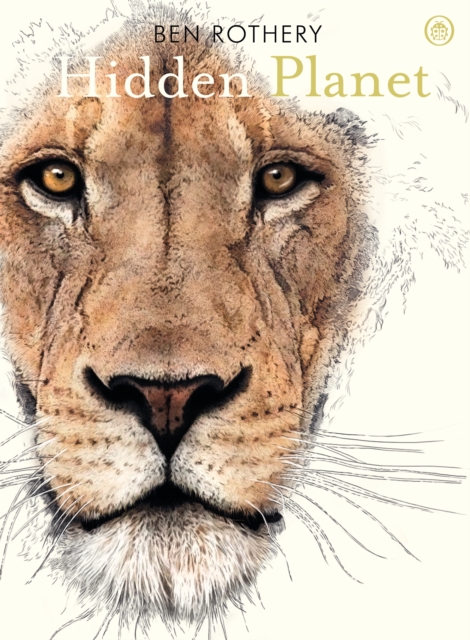 Hidden Planet : An Illustrator's Love Letter to Planet Earth, Paperback / softback Book