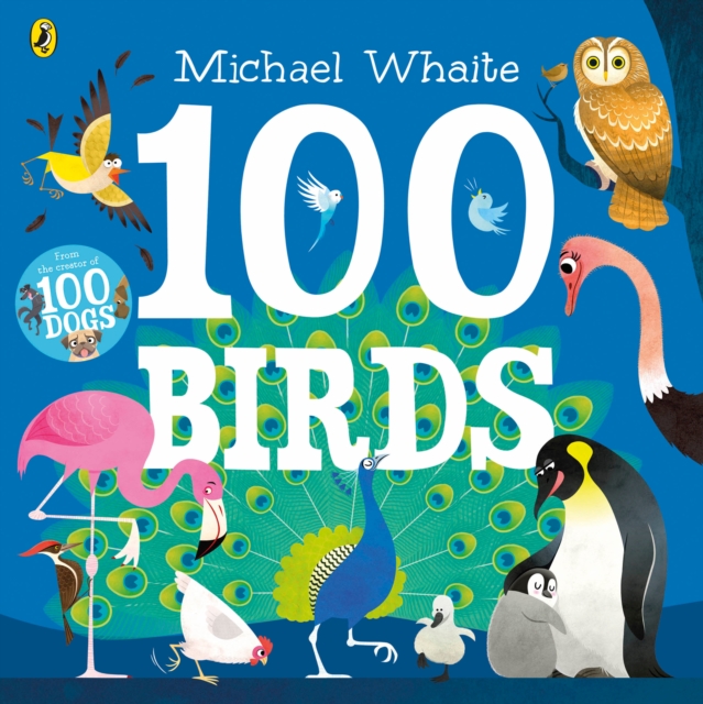 100 Birds, Paperback / softback Book
