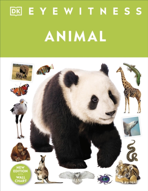 Animal, Hardback Book