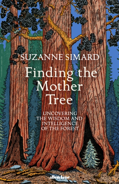 Finding the Mother Tree : Uncovering the Wisdom and Intelligence of the Forest, Hardback Book
