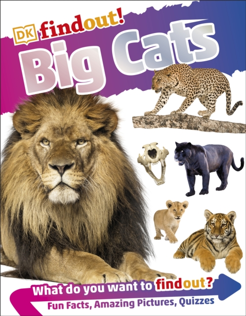 DKfindout! Big Cats, EPUB eBook