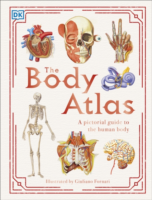 The Body Atlas : A Pictorial Guide to the Human Body, Hardback Book
