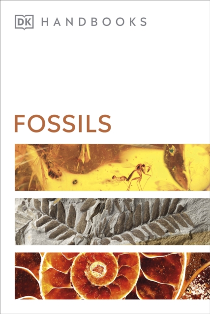 Fossils, Paperback / softback Book