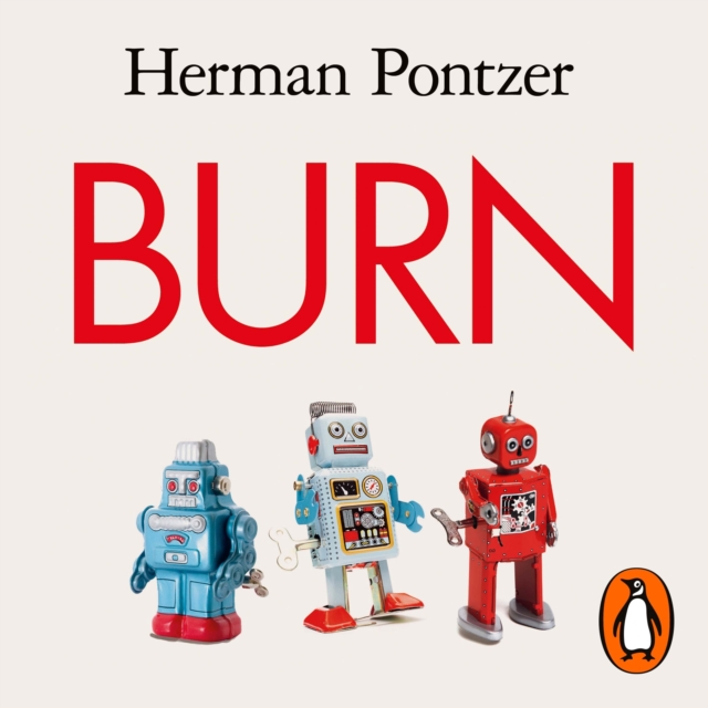 Burn : The Misunderstood Science of Metabolism, eAudiobook MP3 eaudioBook