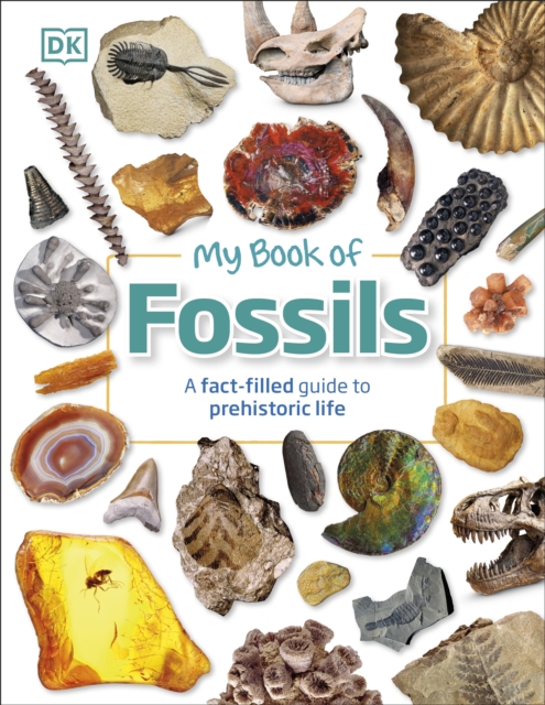 My Book of Fossils : A fact-filled guide to prehistoric life, Hardback Book