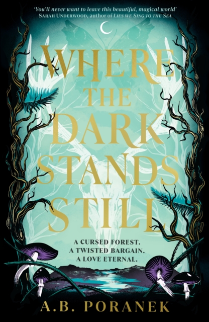 Where the Dark Stands Still : A sweeping, gothic YA fairytale romance, EPUB eBook