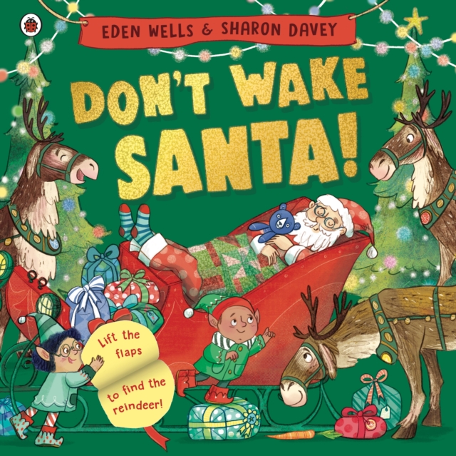 Don't Wake Santa : A lift-the-flap Christmas book, Paperback / softback Book
