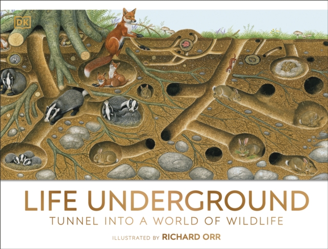 Life Underground : Tunnel into a World of Wildlife, EPUB eBook