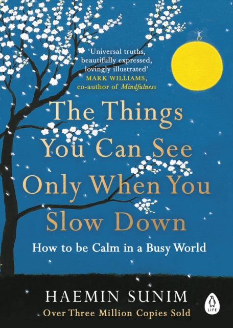 The Things You Can See Only When You Slow Down : How to be Calm in a Busy World, EPUB eBook