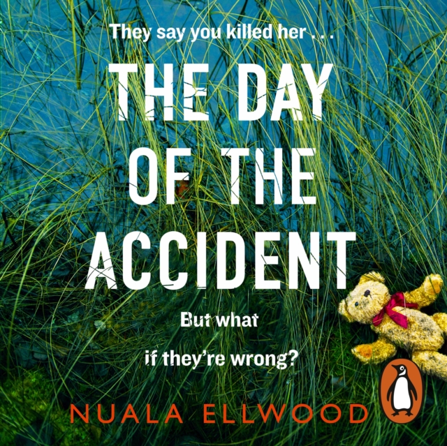 Day of the Accident : The compelling and emotional thriller with a twist you won't believe, eAudiobook MP3 eaudioBook