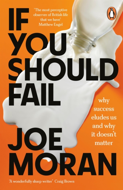 If You Should Fail : Why Success Eludes Us and Why It Doesn’t Matter, Paperback / softback Book