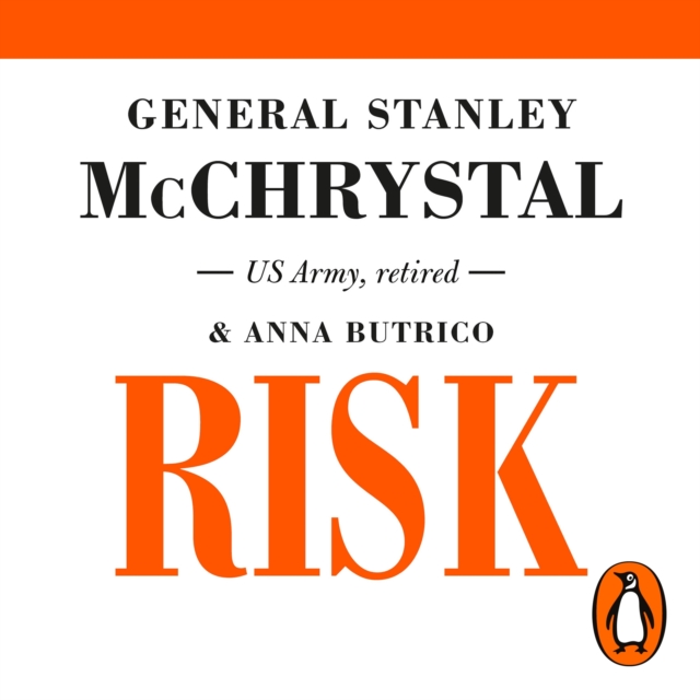 Risk : A User's Guide, eAudiobook MP3 eaudioBook