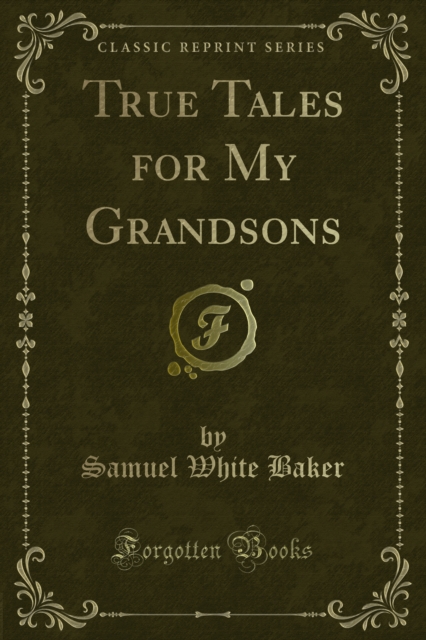 True Tales for My Grandsons, PDF eBook