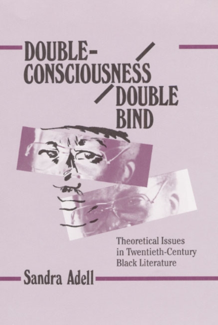 Double-Consciousness/Double Bind : Theoretical Issues in Twentieth-Century Black Literature, Hardback Book