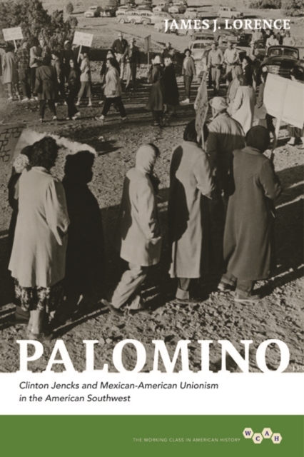 Palomino : Clinton Jencks and Mexican-American Unionism in the American Southwest, Hardback Book