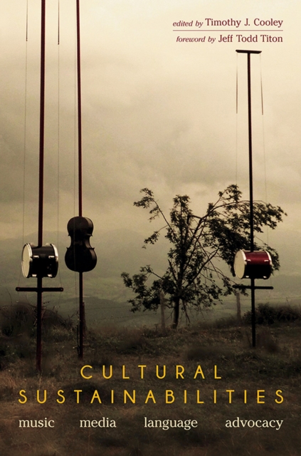 Cultural Sustainabilities : Music, Media, Language, Advocacy, EPUB eBook