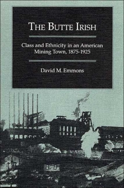 The Butte Irish : Class and Ethnicity in an American Mining Town, 1875-1925, Paperback / softback Book