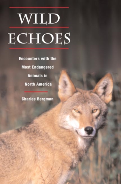 Wild Echoes : Encounters with the Most Endangered Animals in North America, Paperback / softback Book