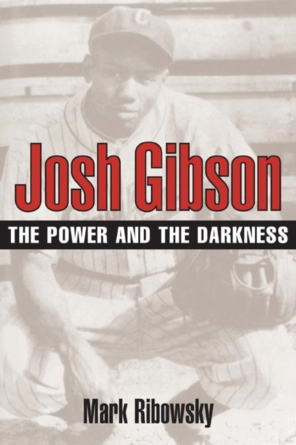 Josh Gibson : The Power and the Darkness, Paperback / softback Book