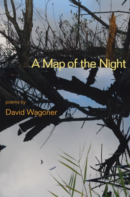 A Map of the Night, Paperback / softback Book