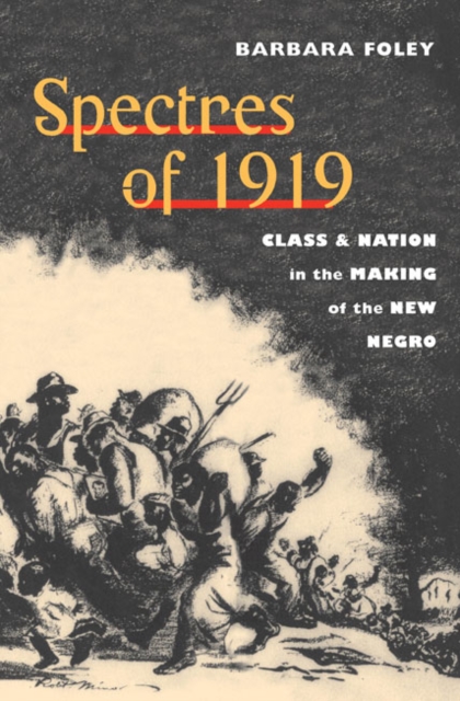 Spectres of 1919 : Class and Nation in the Making of the New Negro, Paperback / softback Book