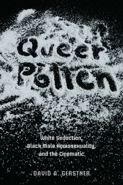 Queer Pollen : White Seduction, Black Male Homosexuality, and the Cinematic, Paperback / softback Book