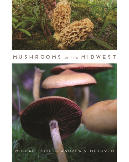 Mushrooms of the Midwest, Paperback / softback Book